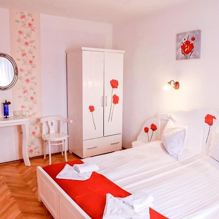 Pensiunea Vila Silva I Haţeg Extérieur photo
