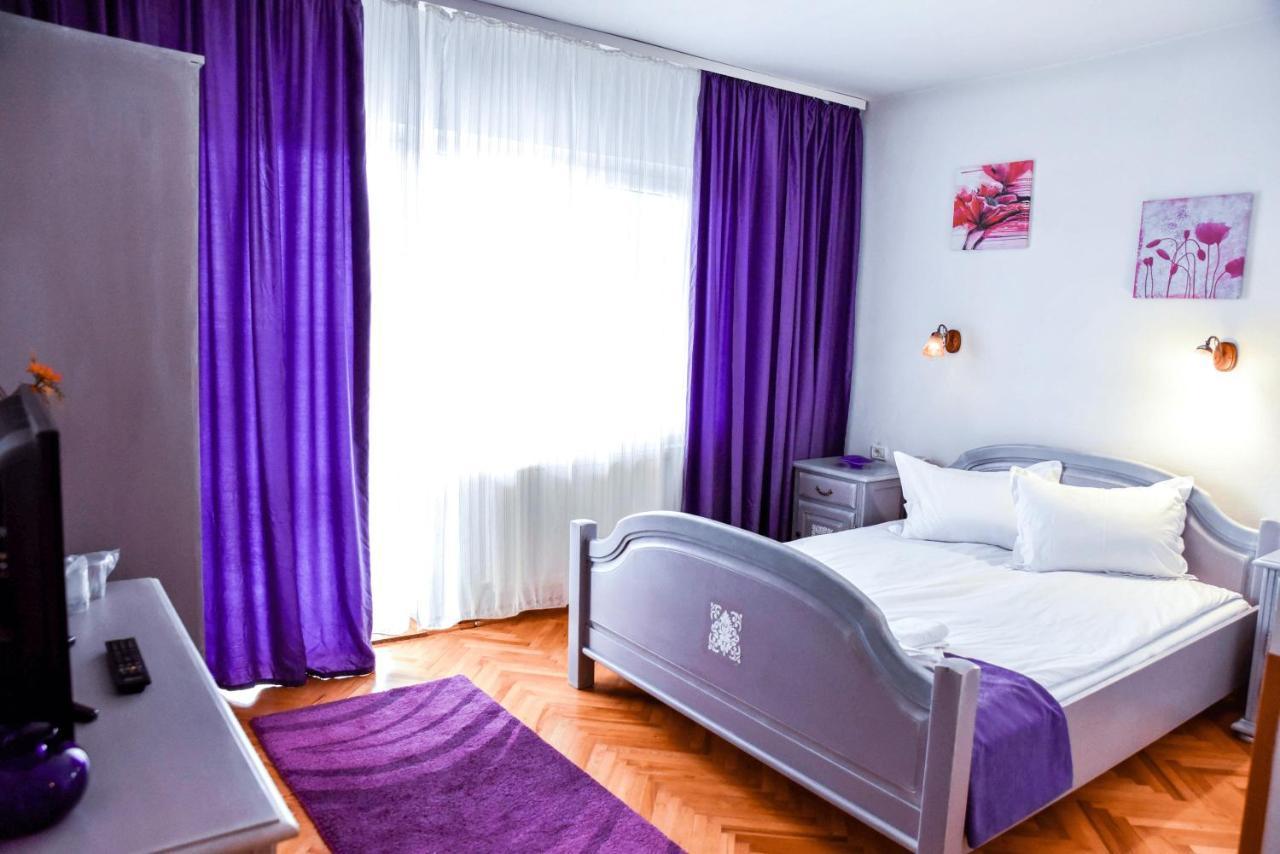 Pensiunea Vila Silva I Haţeg Extérieur photo