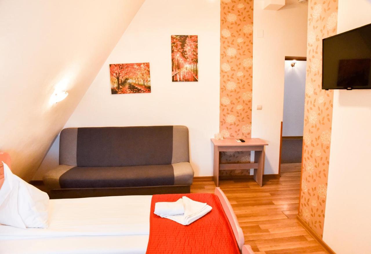 Pensiunea Vila Silva I Haţeg Extérieur photo