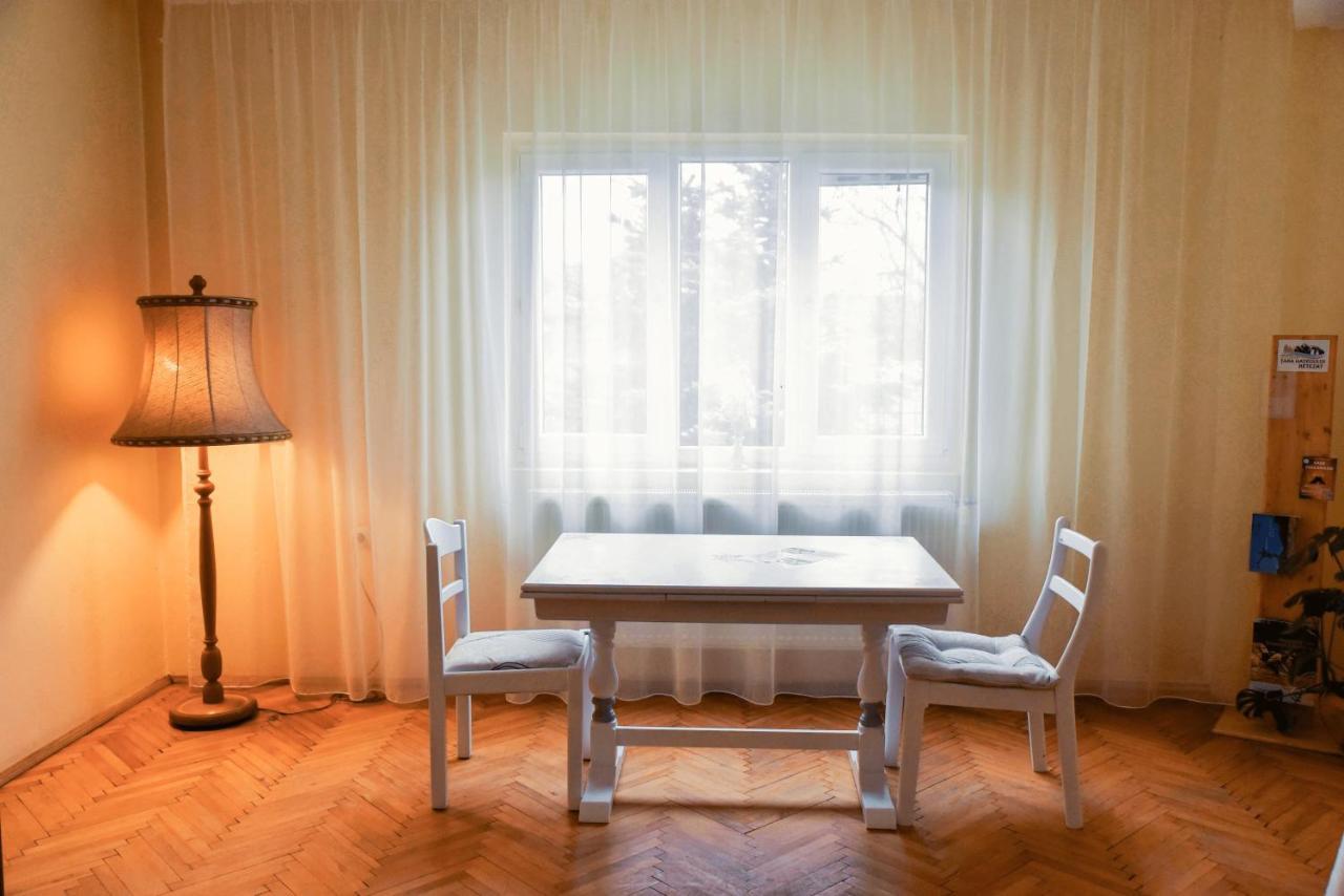Pensiunea Vila Silva I Haţeg Extérieur photo
