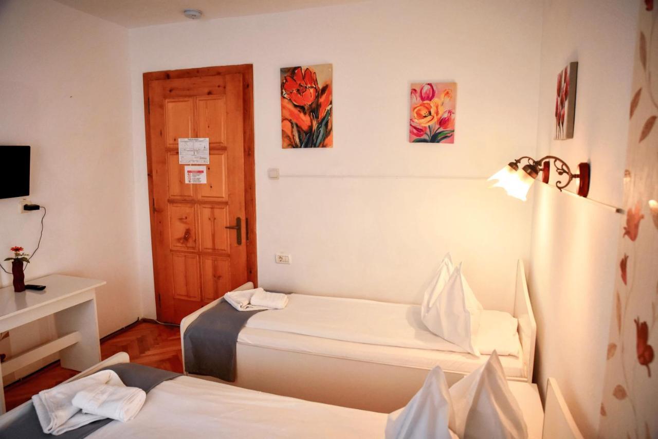 Pensiunea Vila Silva I Haţeg Extérieur photo