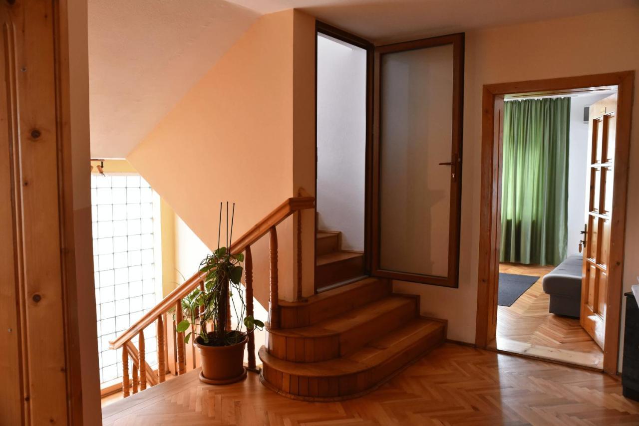 Pensiunea Vila Silva I Haţeg Extérieur photo