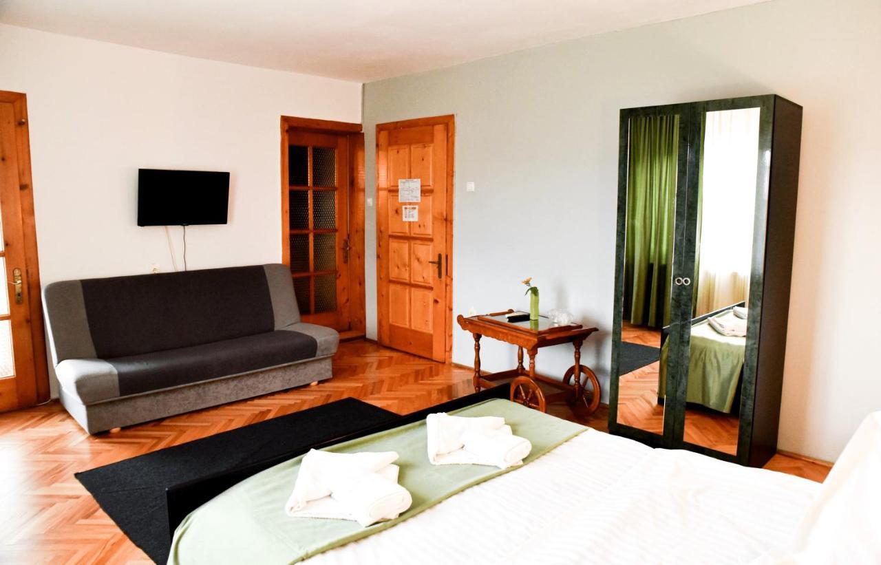 Pensiunea Vila Silva I Haţeg Extérieur photo
