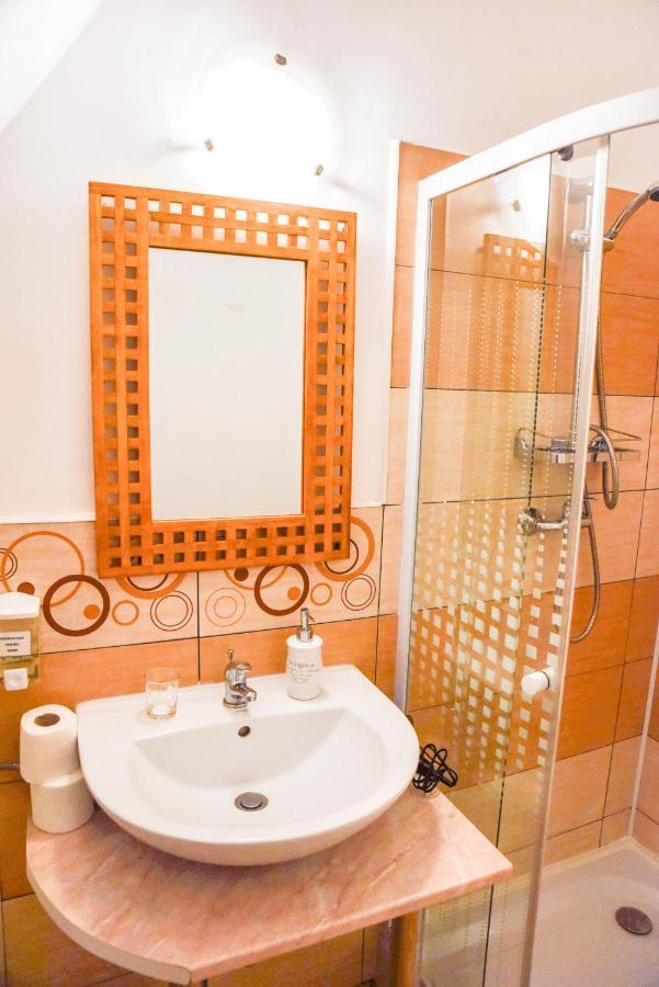 Pensiunea Vila Silva I Haţeg Extérieur photo