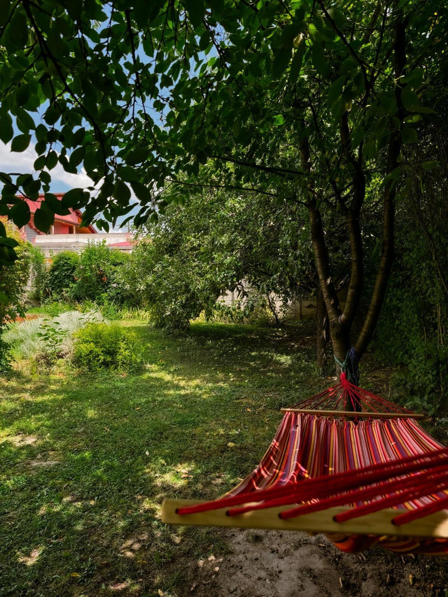 Pensiunea Vila Silva I Haţeg Extérieur photo