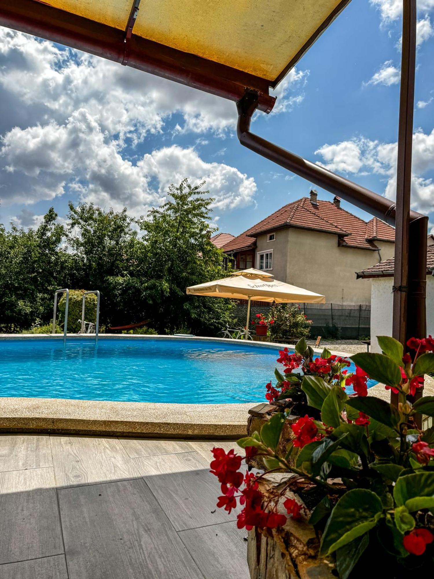 Pensiunea Vila Silva I Haţeg Extérieur photo